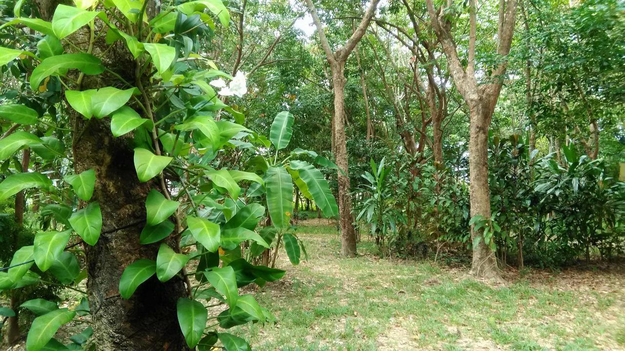 Dugong Koh Sukorn Hotel Ko Sukon Luaran gambar