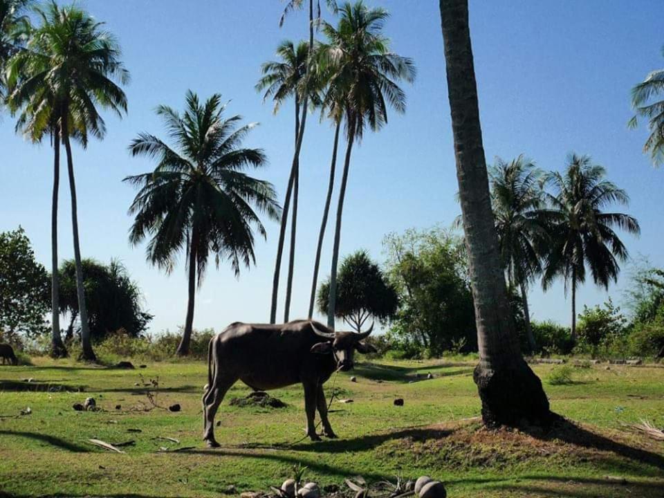Dugong Koh Sukorn Hotel Ko Sukon Luaran gambar